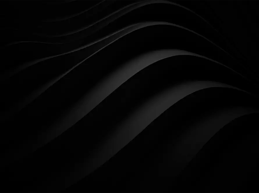 Luxe Élevé Newsletter