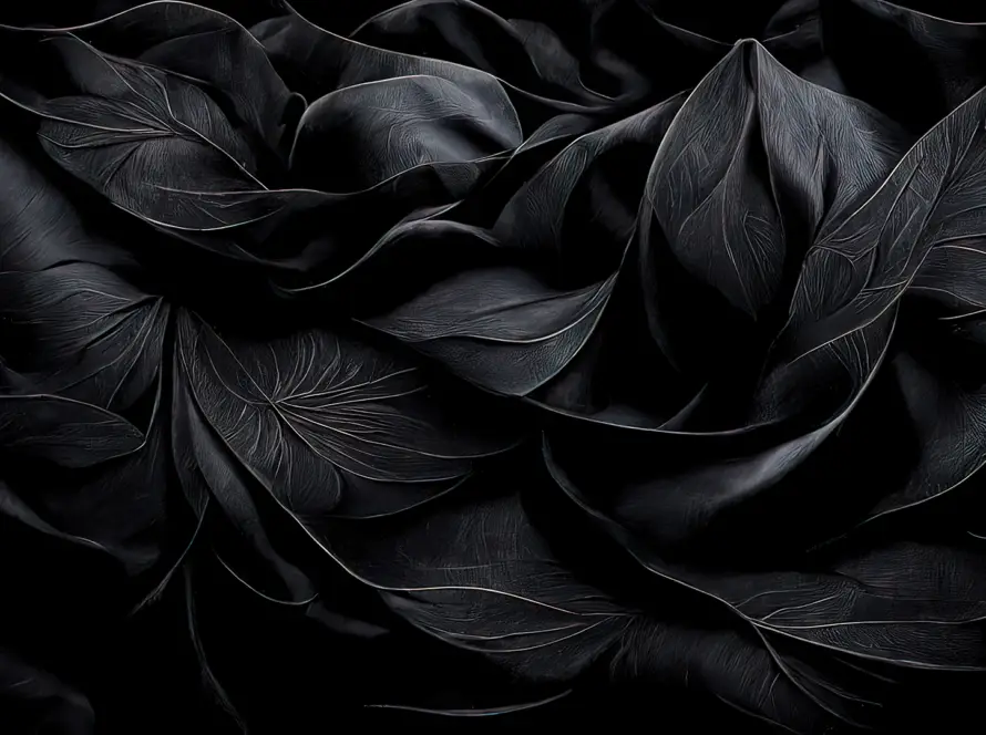 Luxe Élevé Newsletter