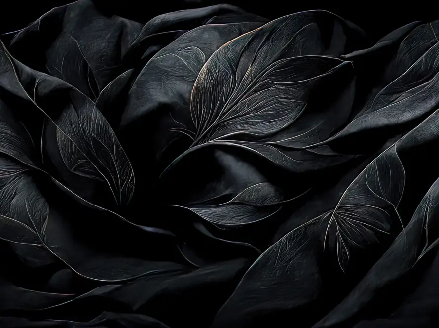 Luxe Élevé Newsletter