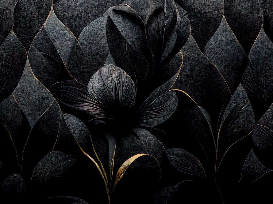 Luxe Élevé Newsletter