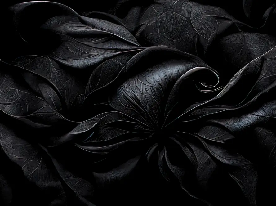 Luxe Élevé Newsletter