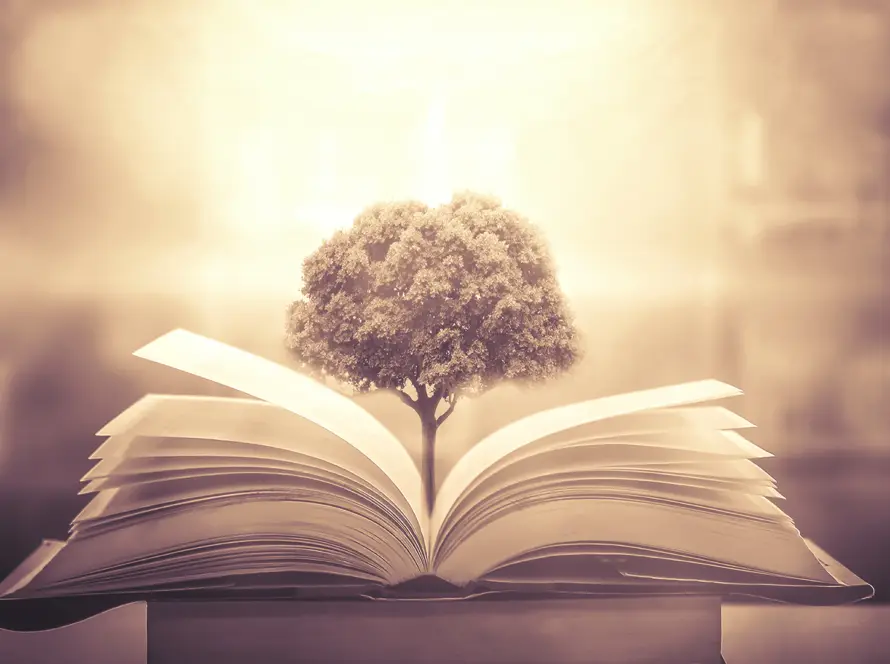 Knowledge